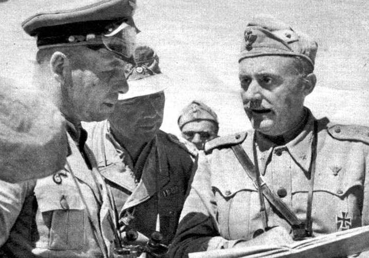 探究尤里乌什·卡罗尔·隆美尔的政治生涯和经历