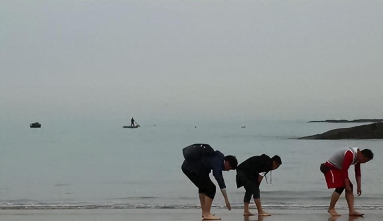 普法：福建海边出现大量金云母，渔民们纷纷前去捡拾，是否违法？