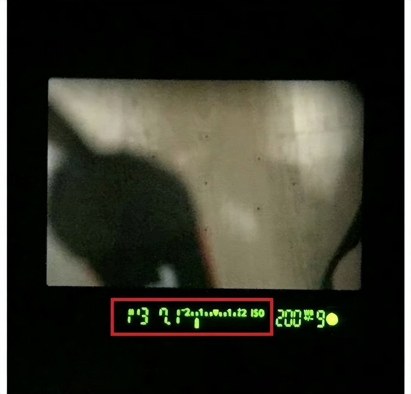 如何使用你手中的相机,如何使用好手机相机