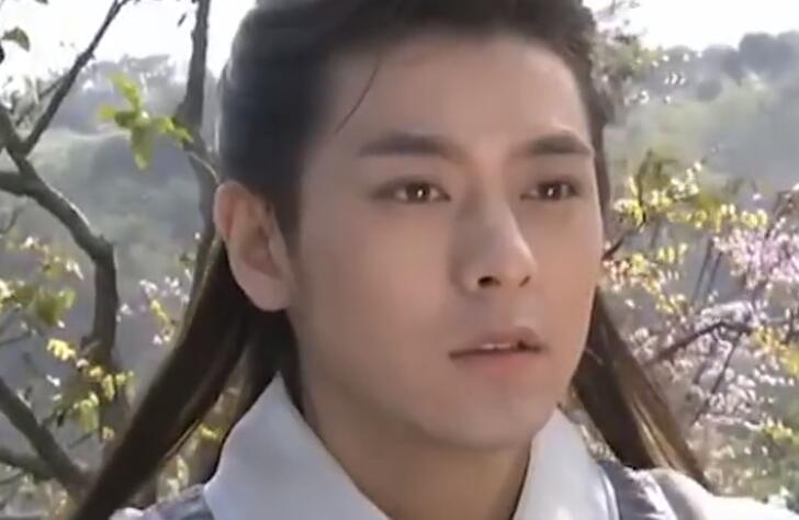 十七岁成为赛车手,不老男神林志颖为什么会开特斯拉