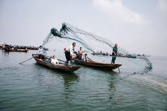 梁子湖翘嘴白鱼,梁子湖钓什么鱼