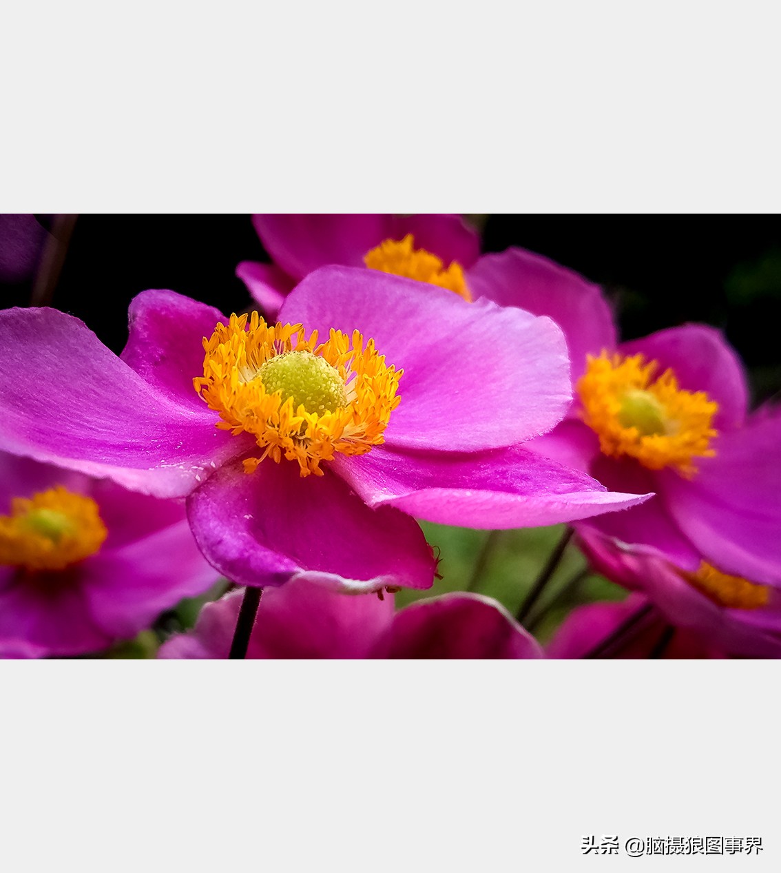 手机拍照不清晰怎么才能拍的好看,vivo手机拍照模糊怎样才能变清晰