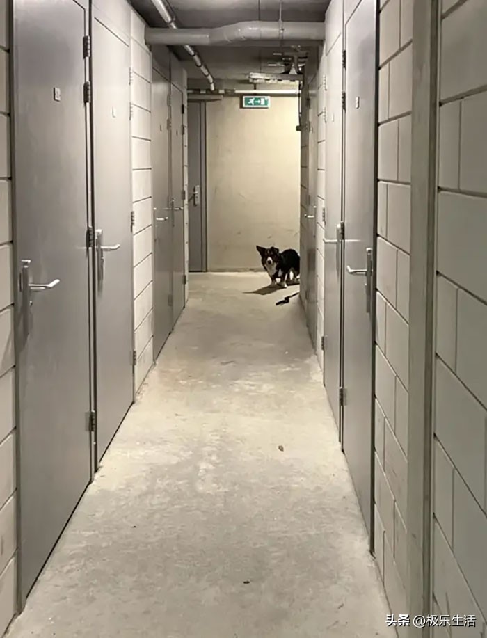 炎炎夏日给您带来视觉上的凉爽,发几张夏天炎热的图片