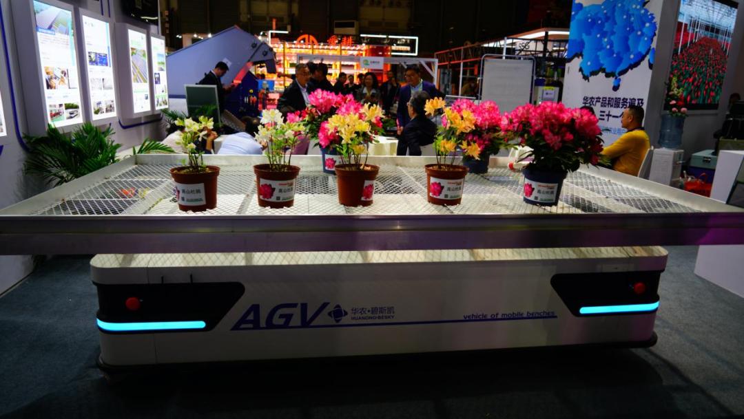 第26届中国国际花卉园艺展览会,人如潮花如海绿如茵还能组什么词