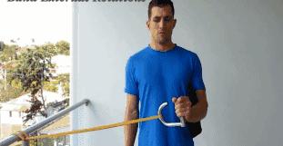 10个经典健身动作零基础,适合所有人的健身动作推荐