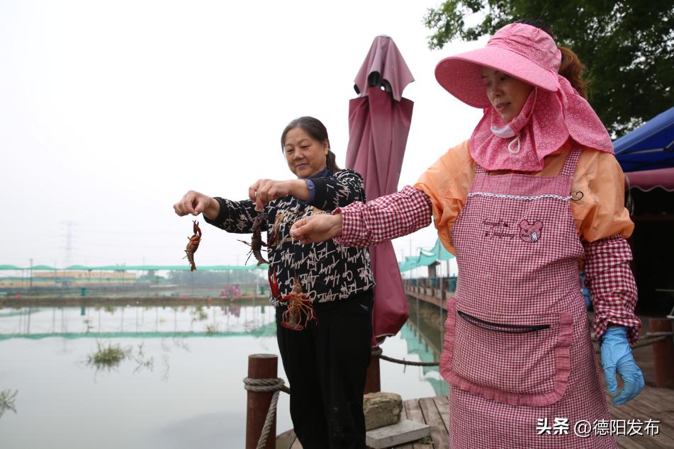 游天府之国赏蜀道风光再见成都,如何游览广汉三星堆