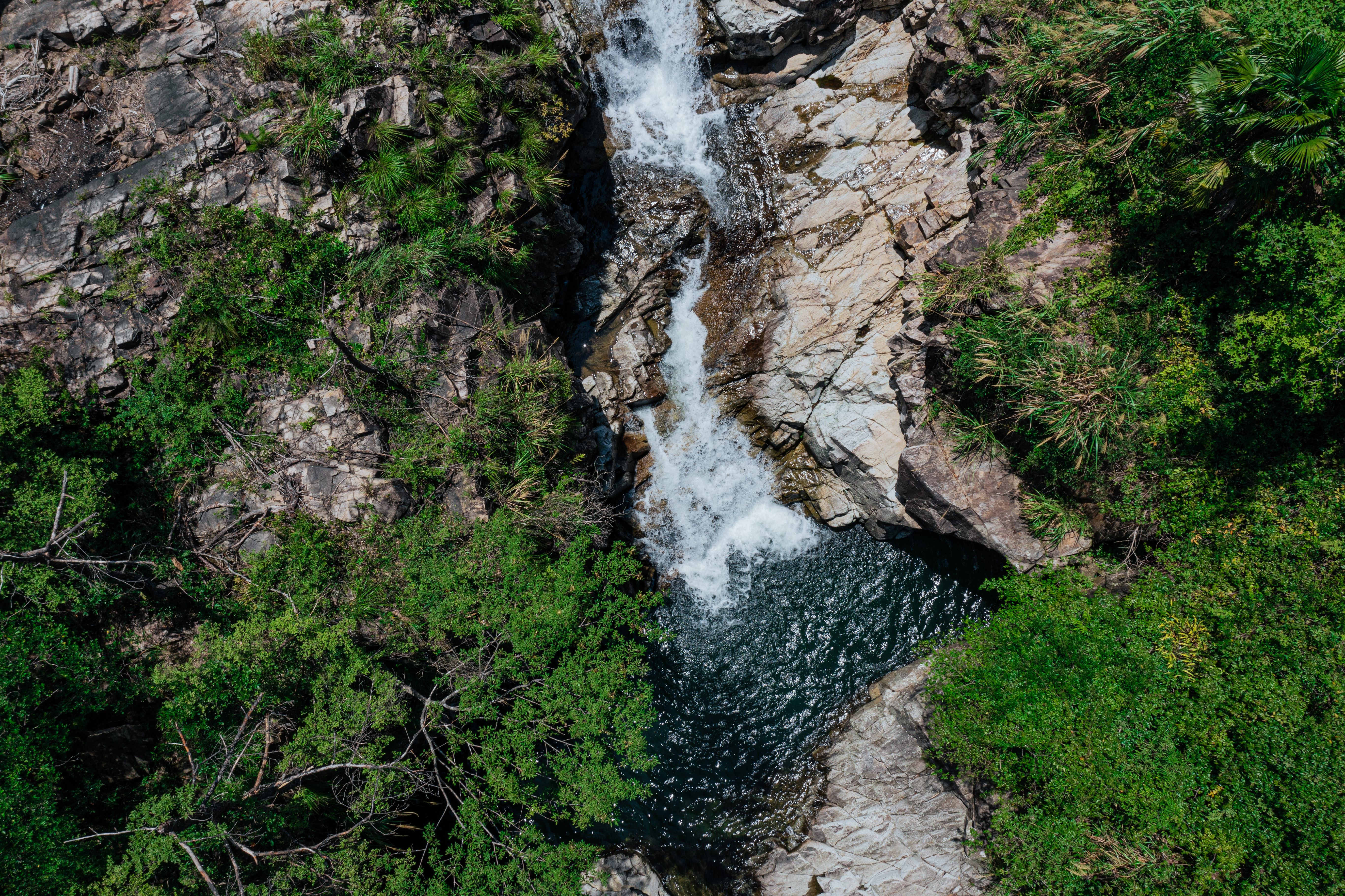 行游五府山：解密3宝，山野美味游走舌尖，传递平实的幸福