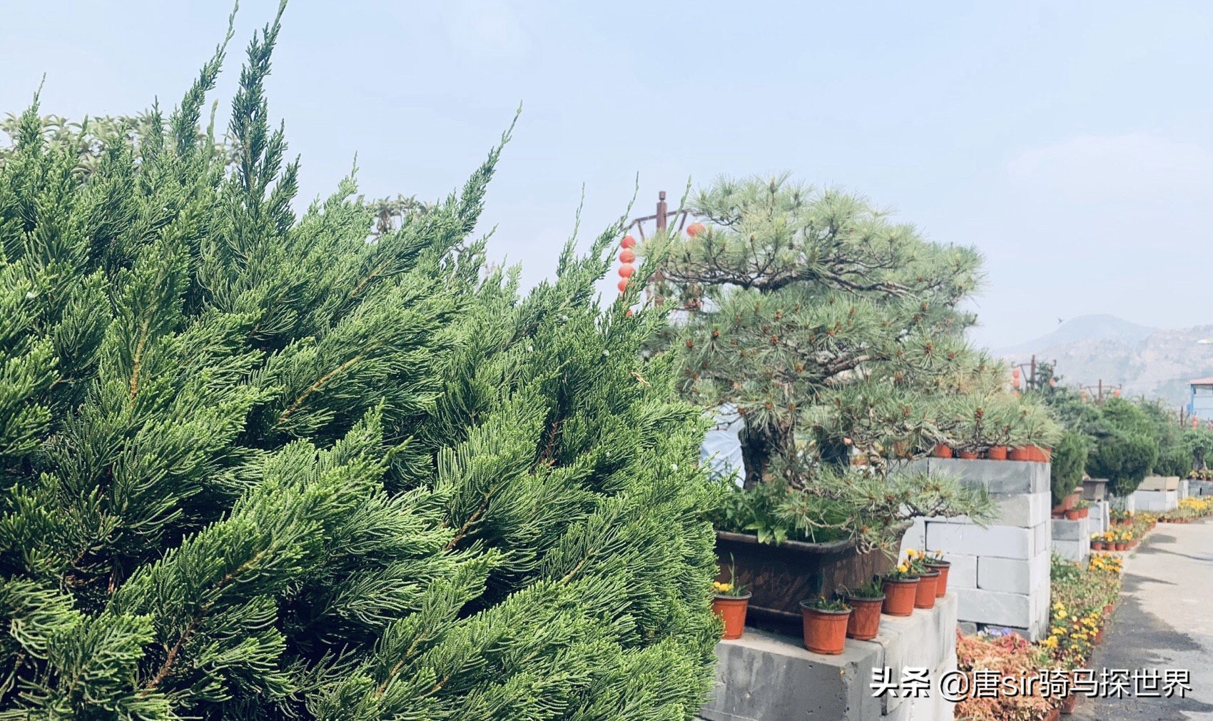 响水水上游乐园,响水梦幻游乐园