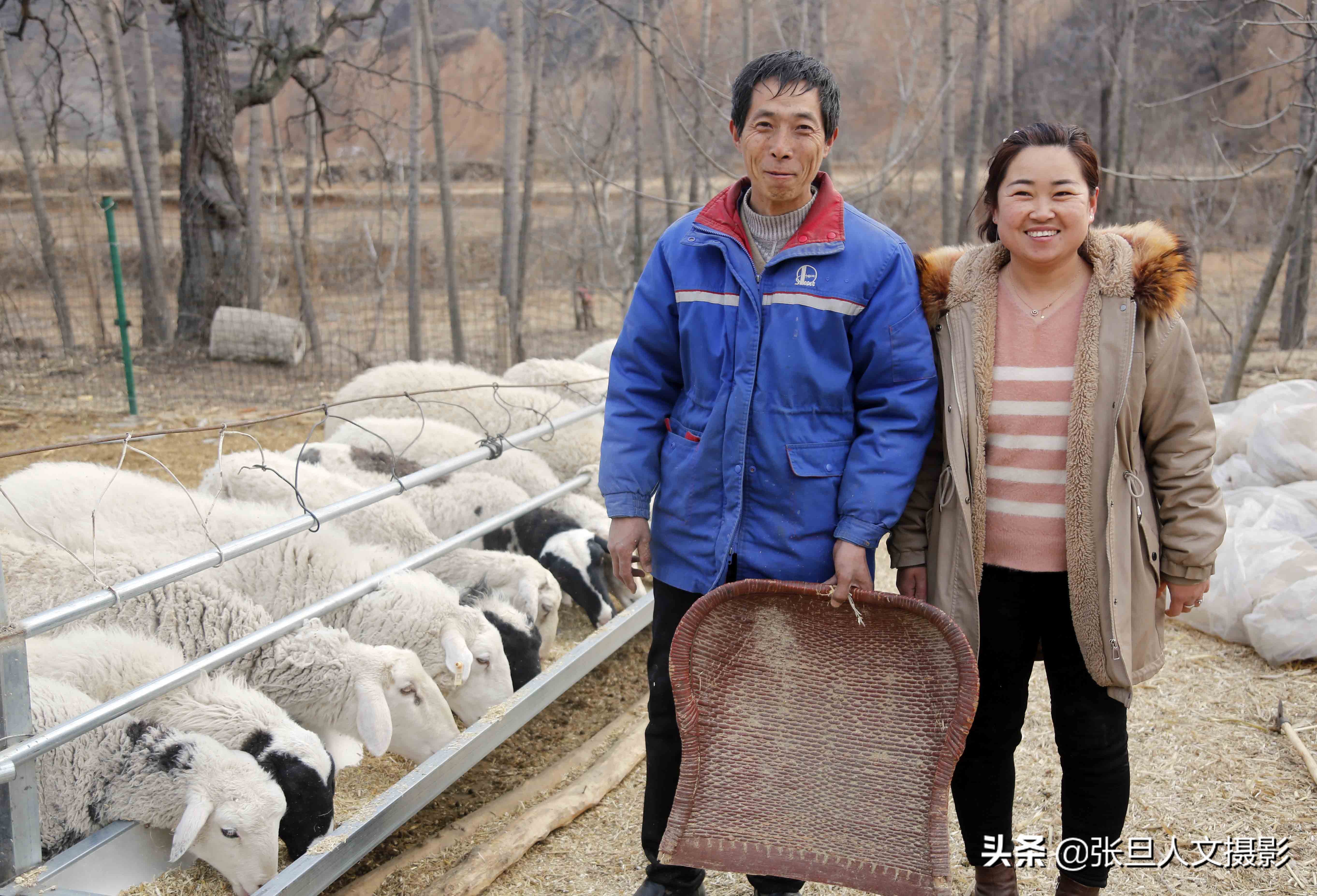 回村创业致富好项目,山西农村创业致富