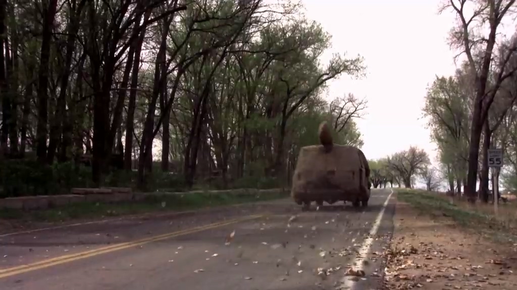 让人啼笑皆非的一部公路喜剧《阿呆与阿瓜》