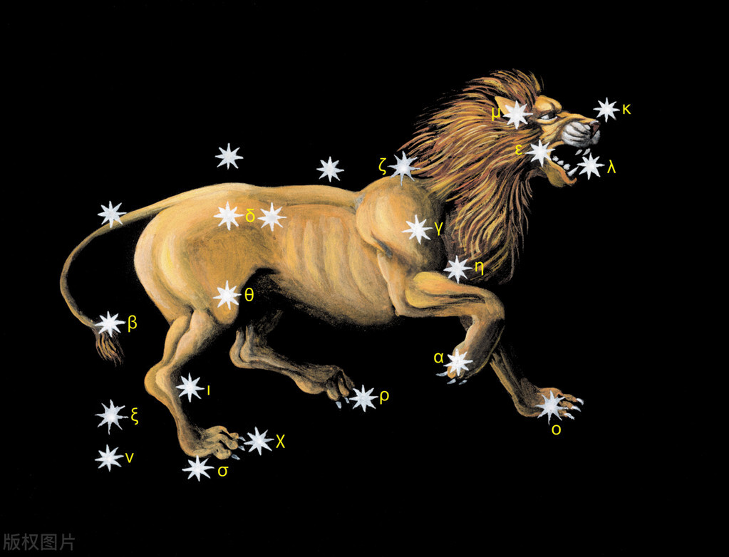 星座系列：十二星座中的狮子座