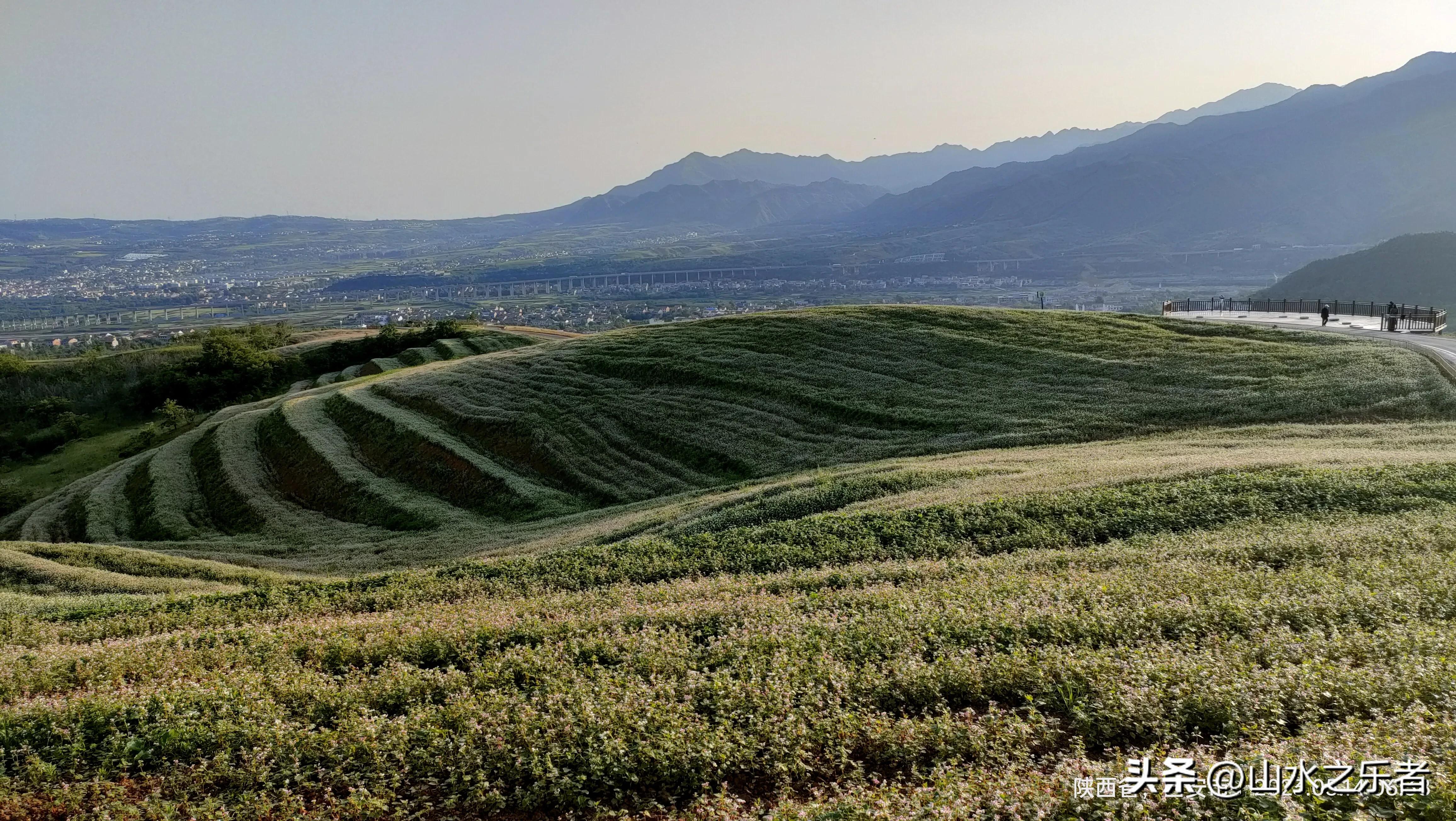 晨游秦岭北麓,蓝田荞麦岭怎么去