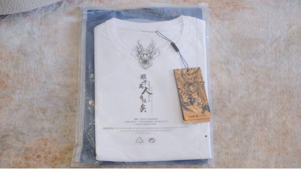 夏季新款小众设计感纯棉短袖t恤,龙牙b2速干短袖面料