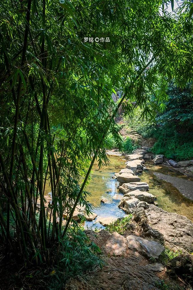 永州之野田园综合体,永州之野农产品