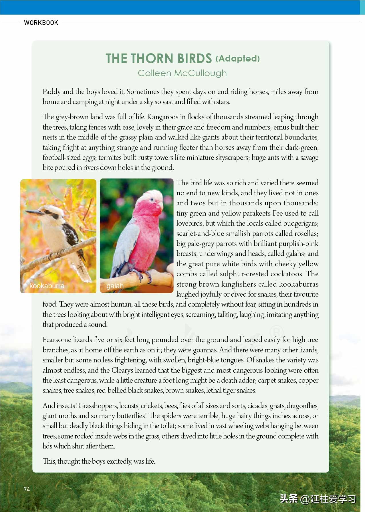 高中英语选择性必修第二册电子版,外研版高中英语选择性必修第四册