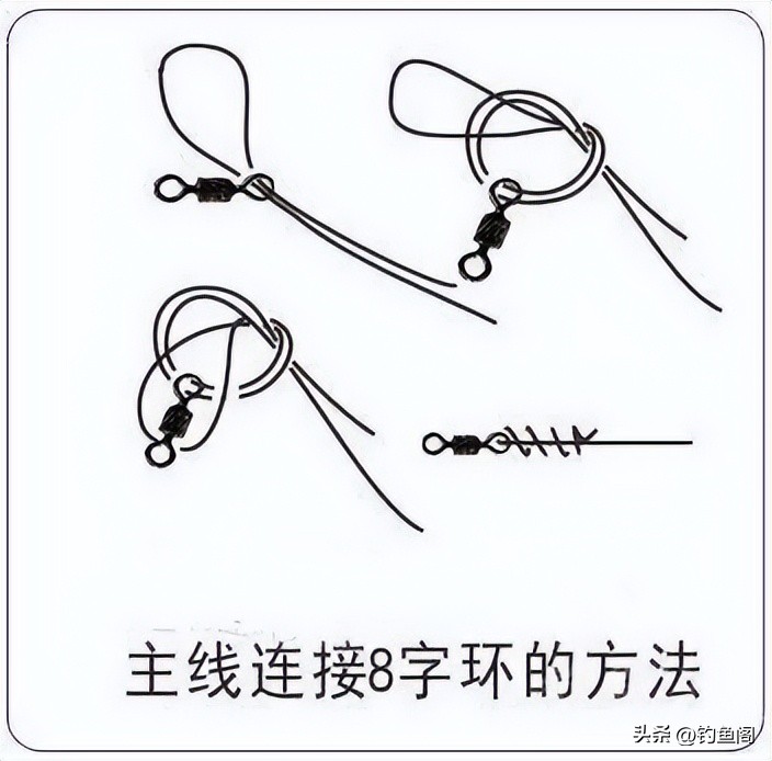 最全鱼线知识大全,鱼线知识新手