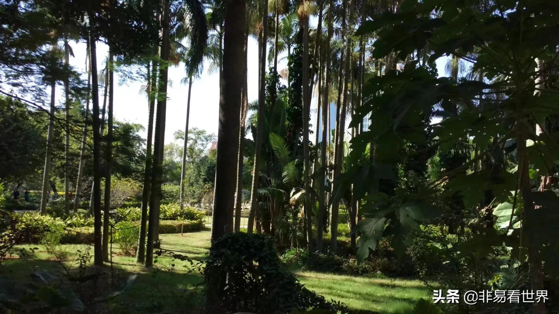 回忆一下我在厦门的生活,厦门是个慢生活的都市