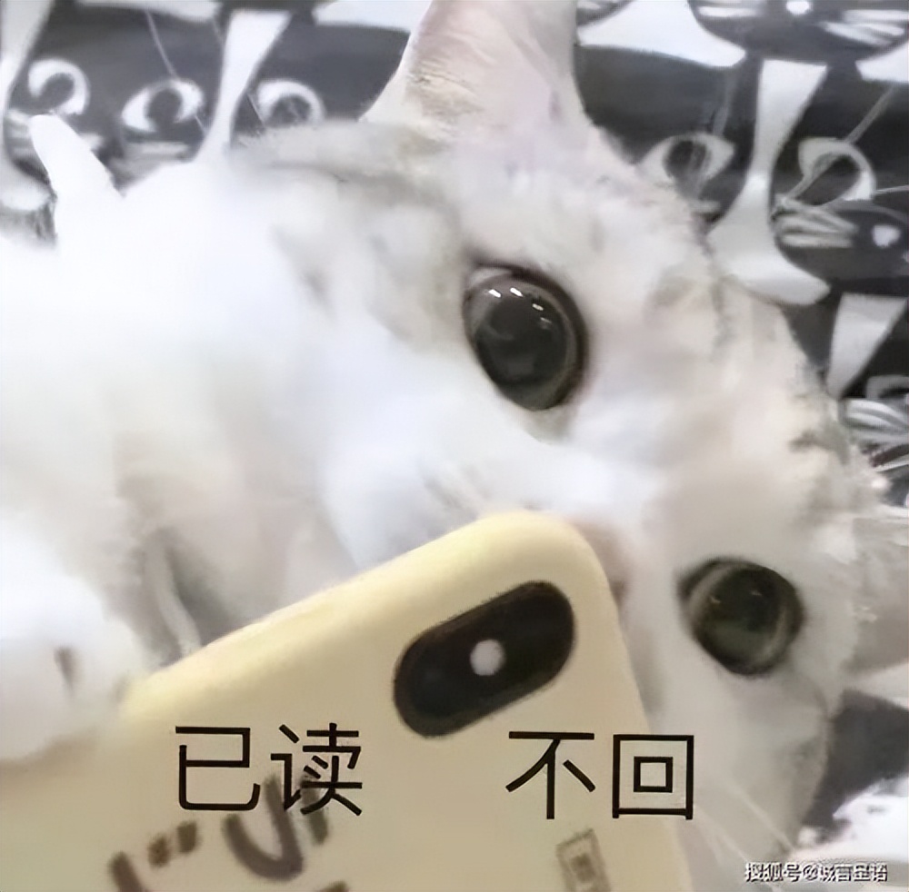 现在的诺基亚还能坚不可摧吗,诺基亚从什么时候开始衰落