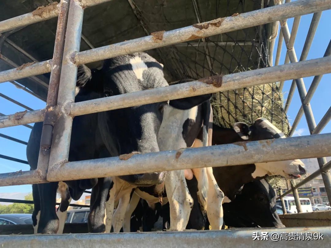 旅行盘点全球最奢侈最冒险的旅行,自驾环游世界最穷的国家