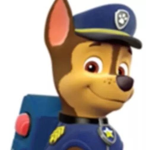 汪汪队立大功狗狗都是什么品种,汪汪队中的11个狗狗品种