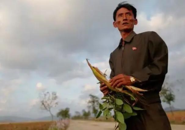 朝鲜人靠什么收入,朝鲜人月入几百元
