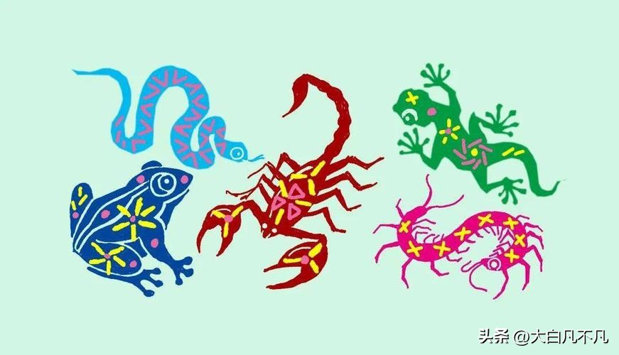 五毒之王对战五毒之王,五毒之王是谁