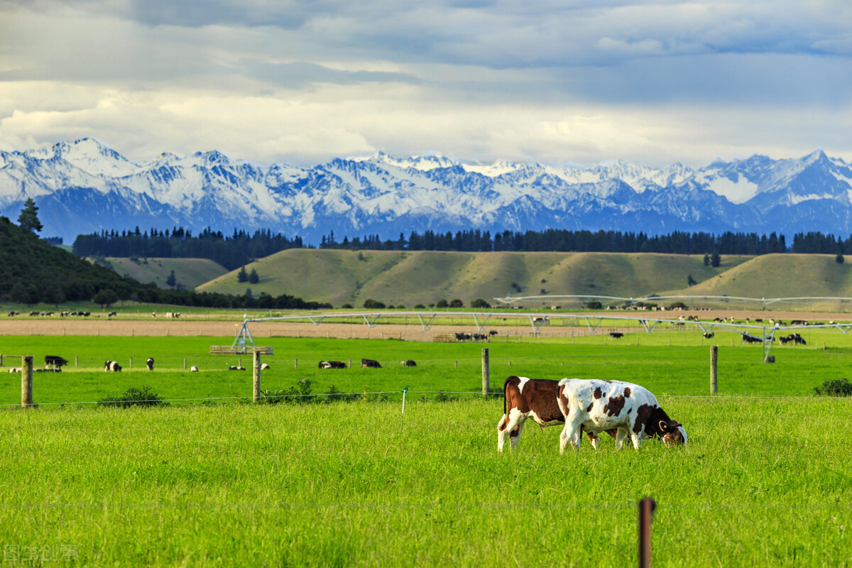 15个你不知道的冷知识,10个你不知道的奇葩冷知识