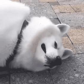 想你了想抱你的表情包,想见你只想见你表情包