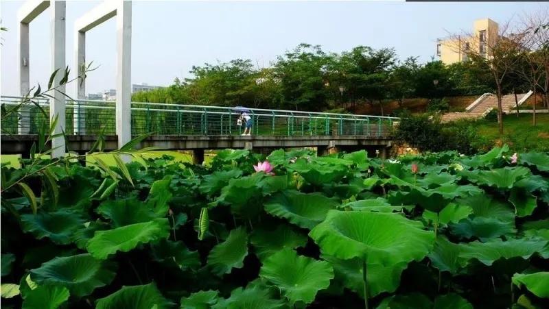 每日一校：中国矿业大学（徐州）