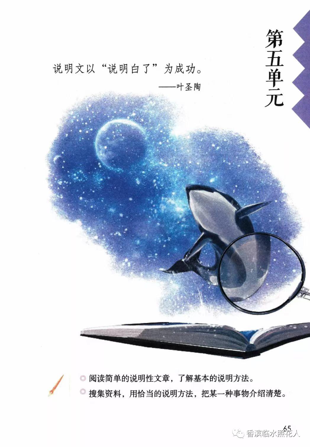 五年级我的心爱之物讲解,五年级我的心爱之物课文写玩具熊