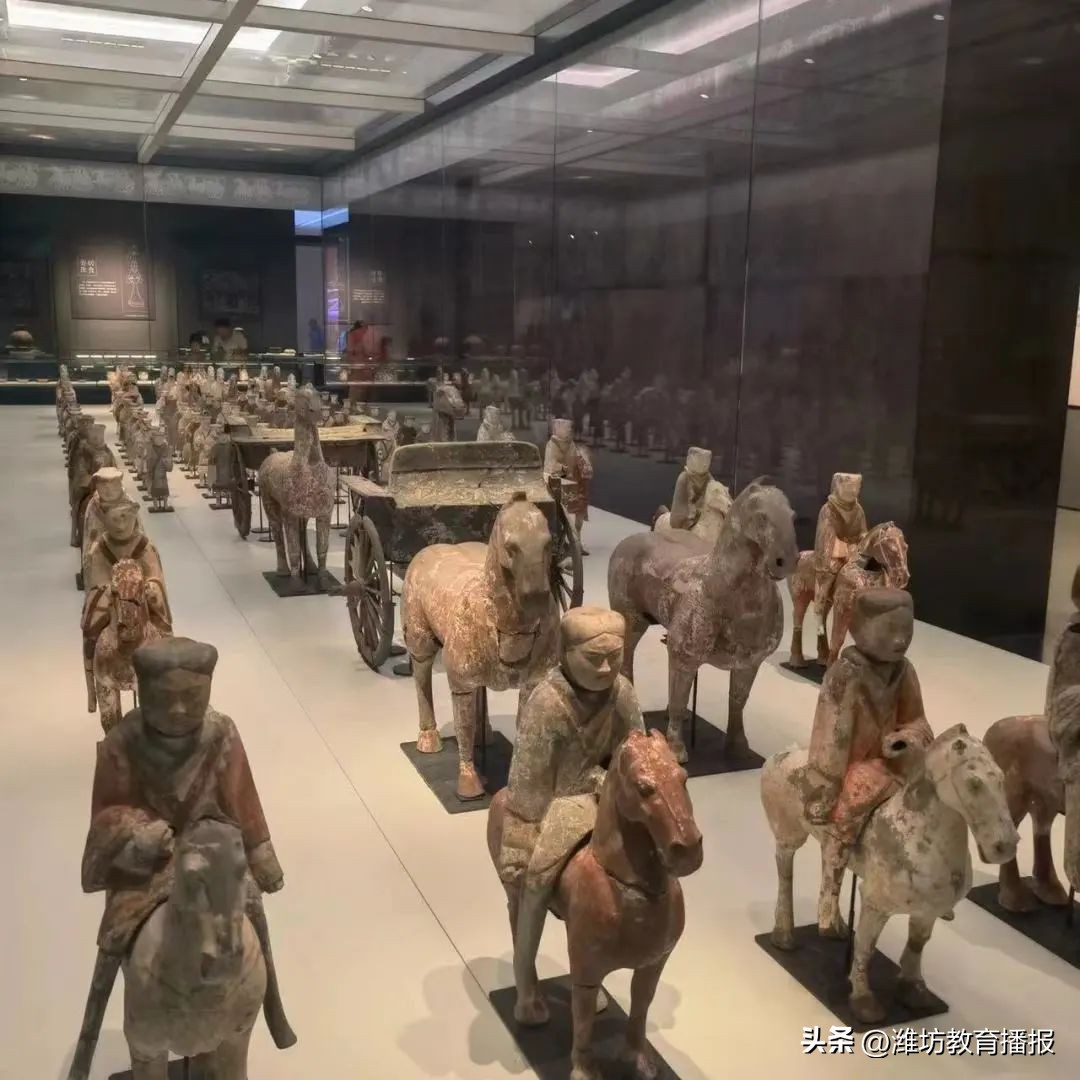 潍坊新亮点外国语学校,潍坊中新双语学校