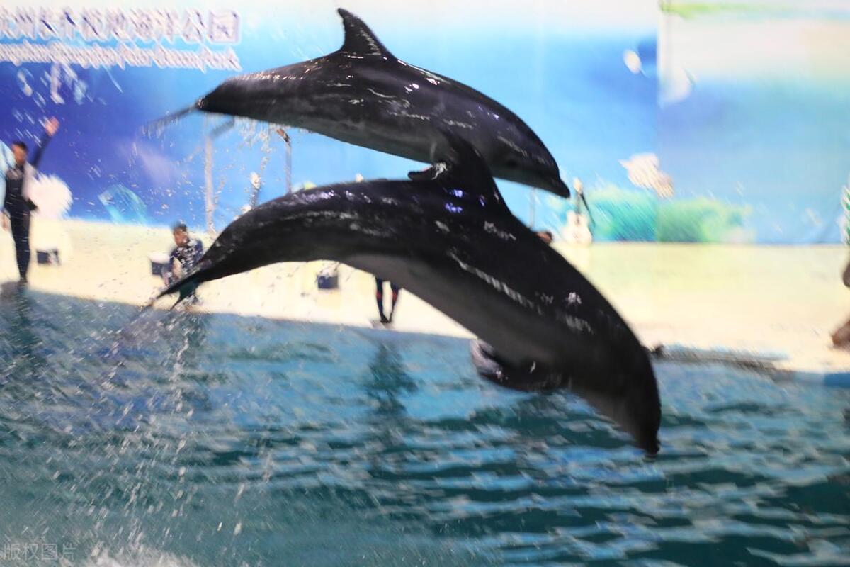 杭州萧山区十大景点,杭州十大最好玩的景点排行榜