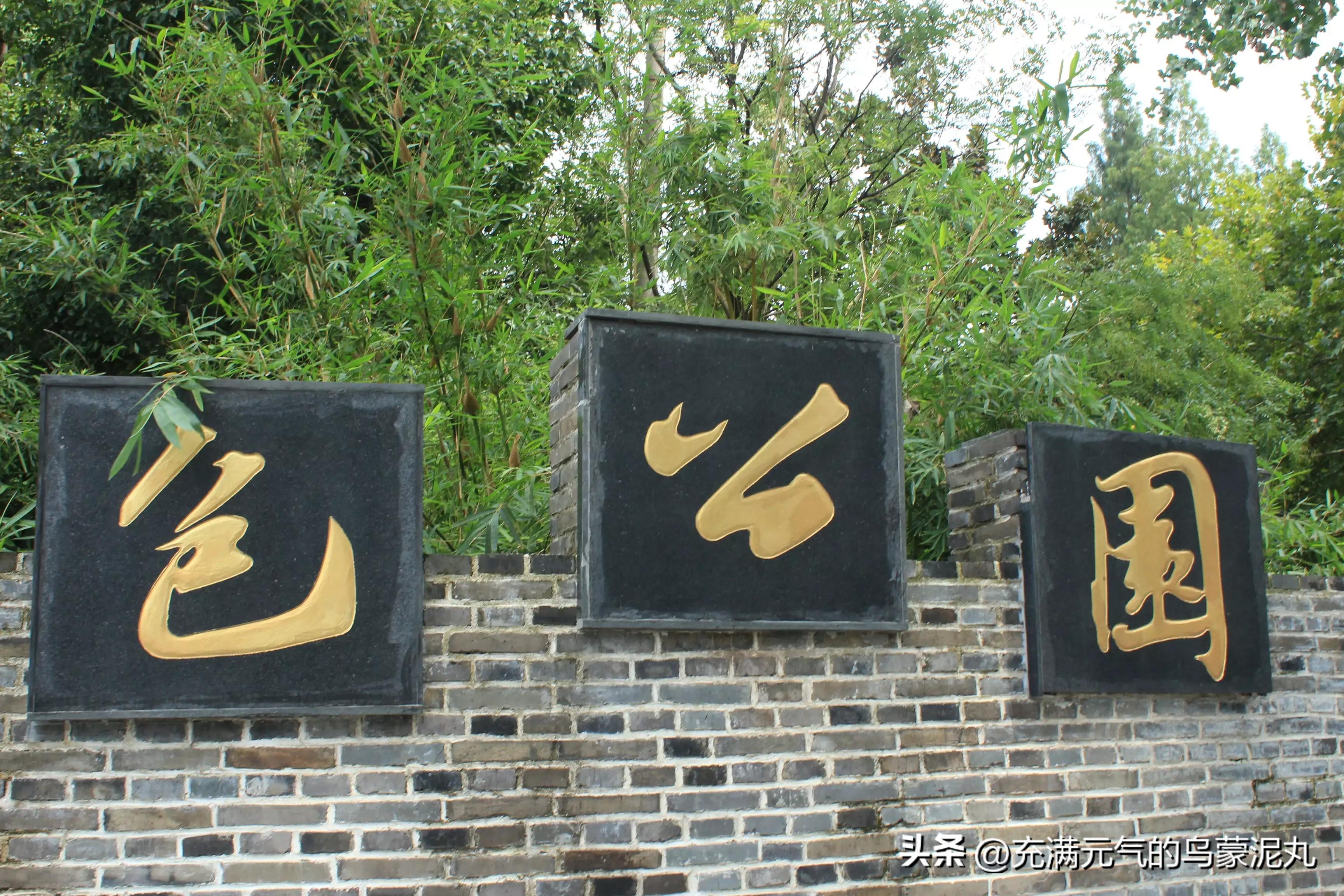 被保健品蛊惑的老人,被保健品骗的老人