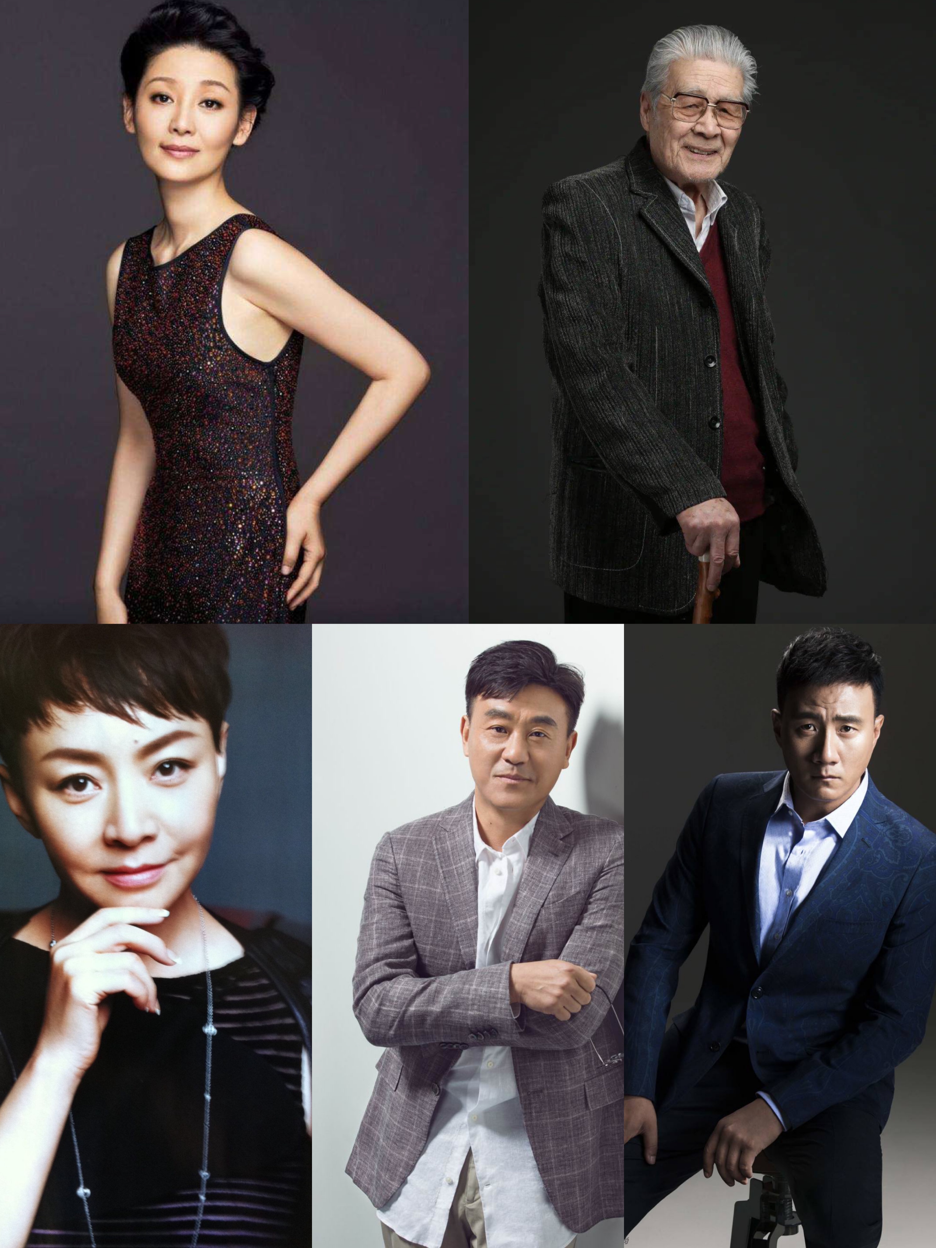 宁静谈编制,宁静直言自己有编制吗