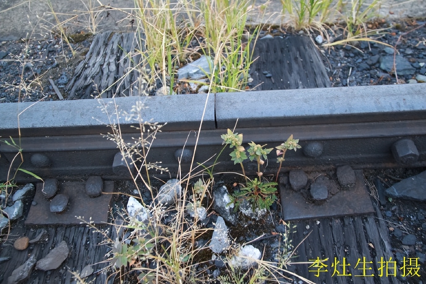 坪石梅田铁路,韶关乐昌市坪石镇火车站