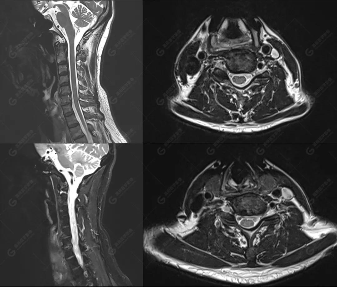 高尚锦旗,高尚最新新闻