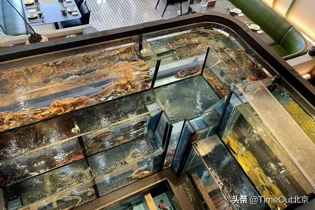 吃饱喝美幸福满溢，京城7个餐饮新消息