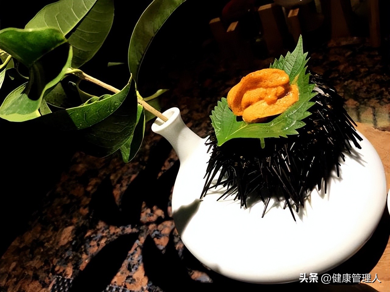 世界顶级海鲜食材,世界顶级的海鲜视频