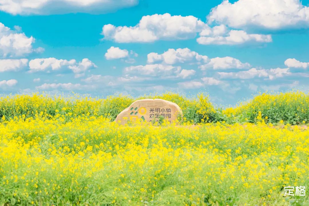 深圳最好玩的十个地方,深圳光明小镇欢乐田园好玩吗
