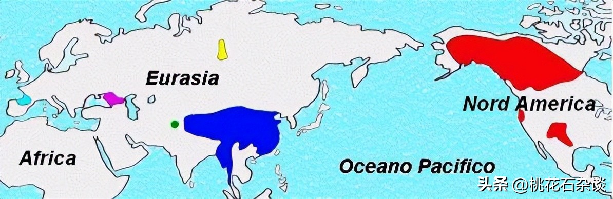 美洲有哪些语言,美洲哪个国家有自己的语言