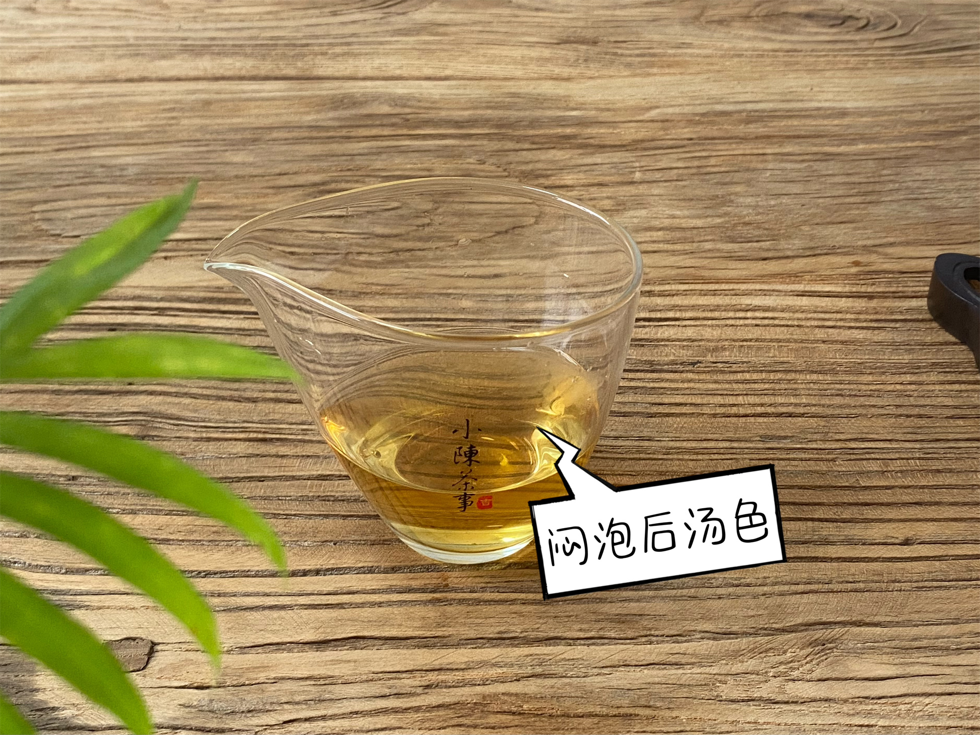 隔夜茶5大禁忌,喝茶常识隔夜茶可以喝吗