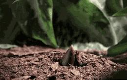 长高小窍门10个有助长高的好方法,怎样才能不错过快速长高的关键期