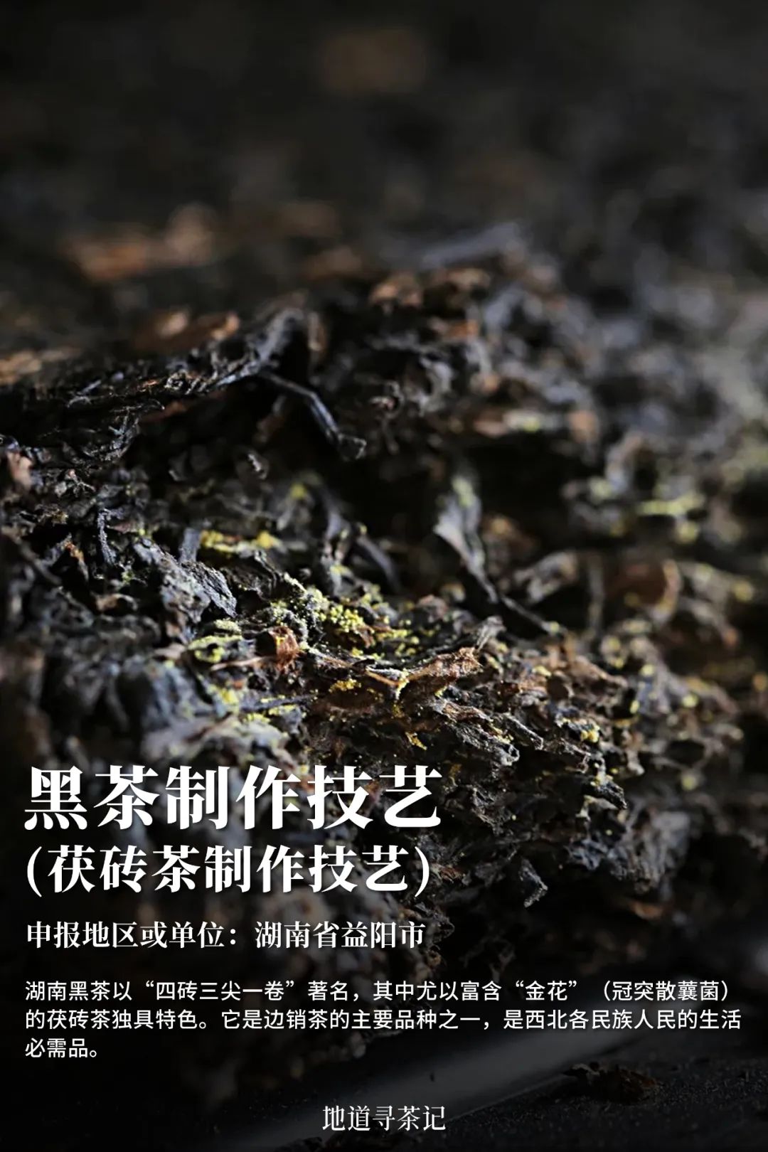 我国哪种传统艺术第一个入选非遗,中国非遗成功的有22项