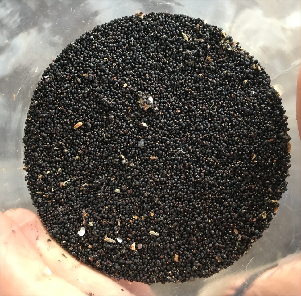 打假养花坑人小妙招,养花十大骗局揭秘