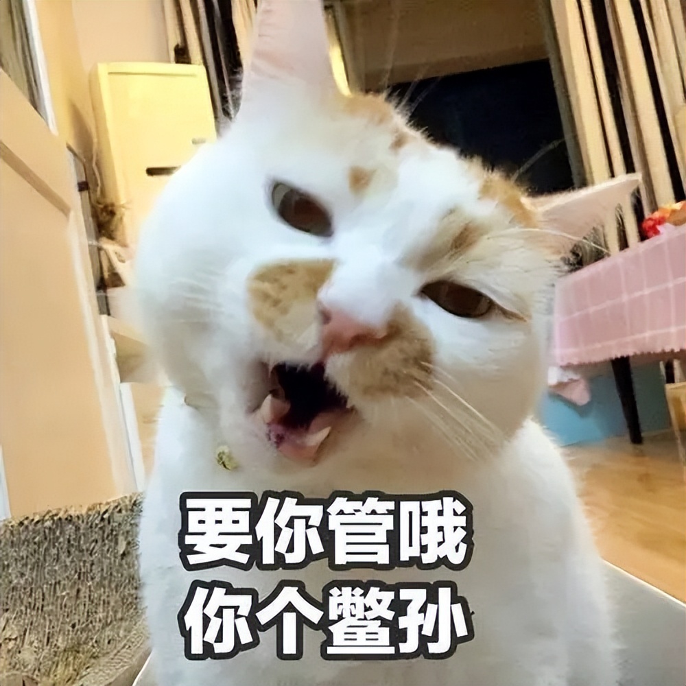 谷爱凌初恋男友曝光,19岁谷爱凌身份曝光