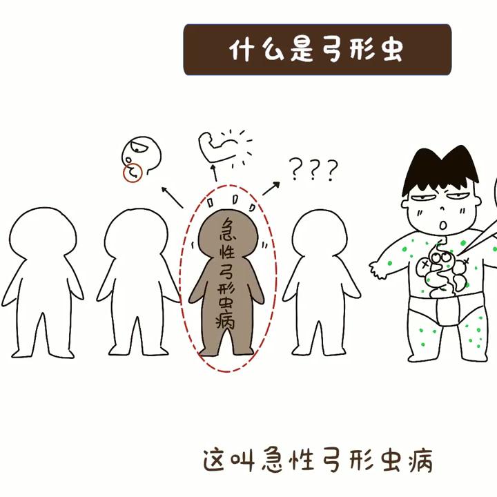 什么是弓形虫病怎么预防,弓形虫是怎么感染猫咪的