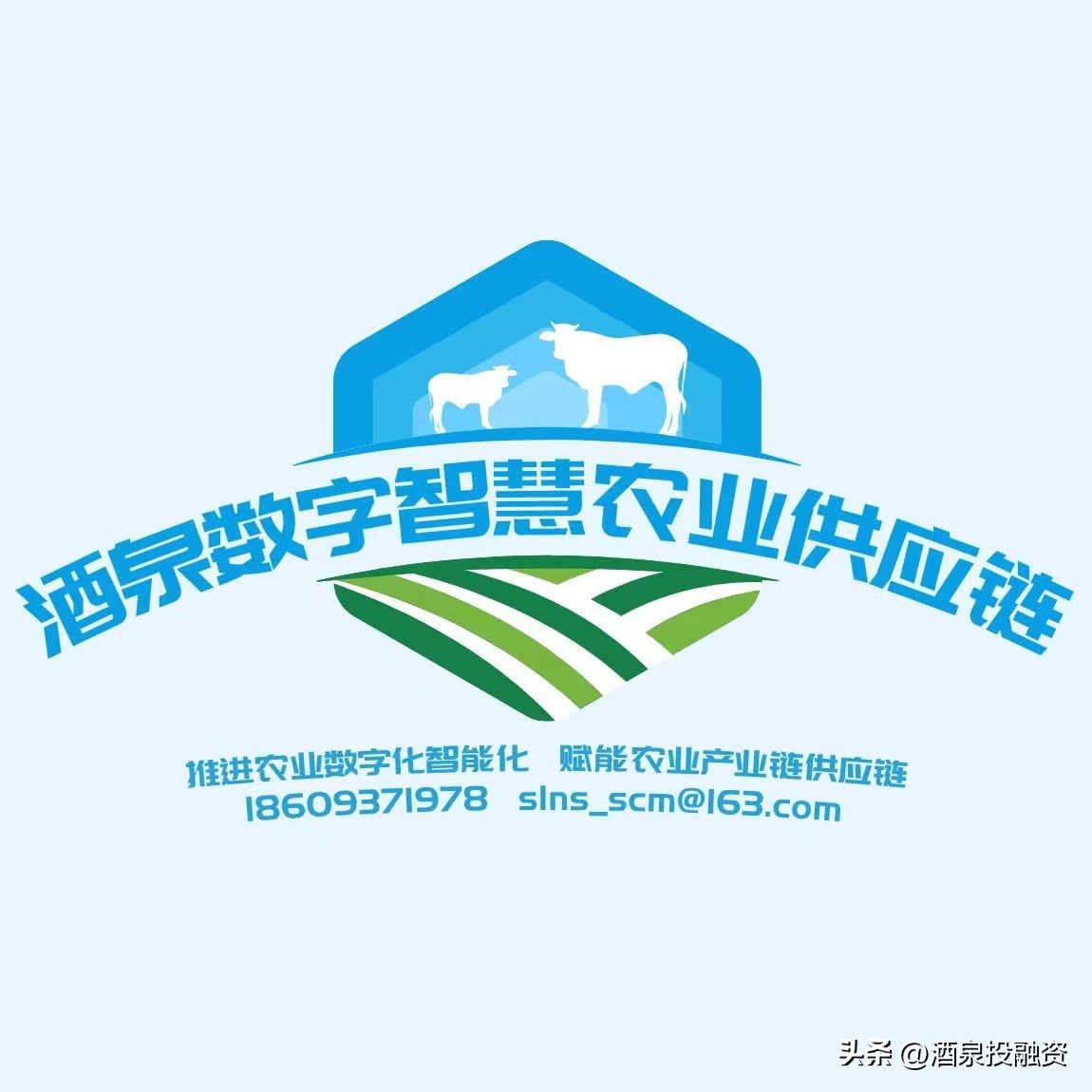 乡村振兴对农业的金融支持,乡村振兴农业部最新金融政策