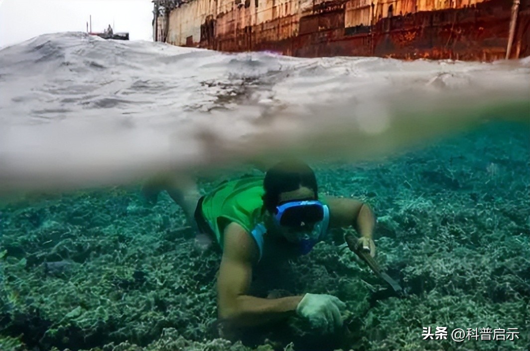 仁爱礁老赖不足为虑，与老鼠蟑螂同住，全身是病，坚持不了多久了