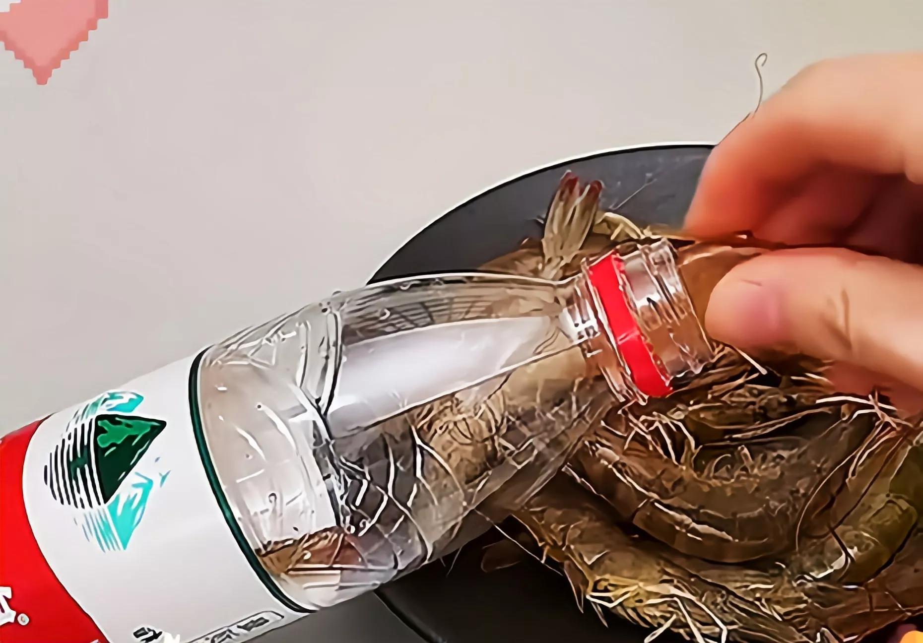 教你肉快速解冻,冰箱肉怎么解冻最快的方法