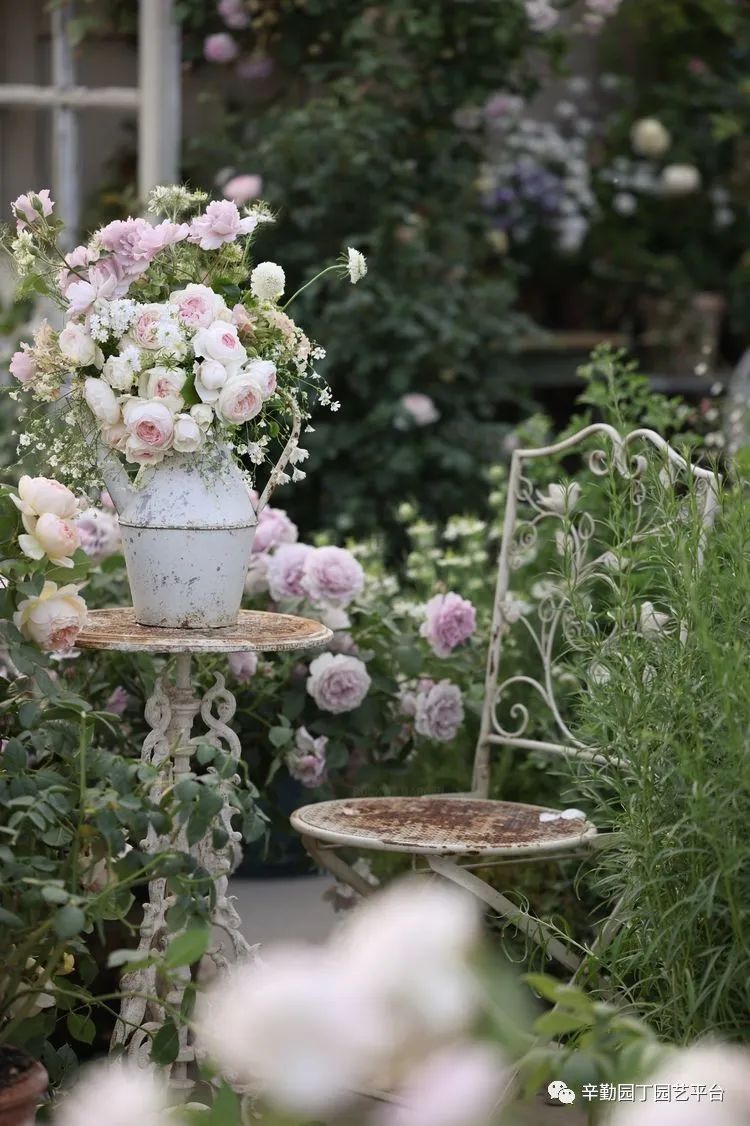 第八届园丁奖露台组《030号》洛基花园